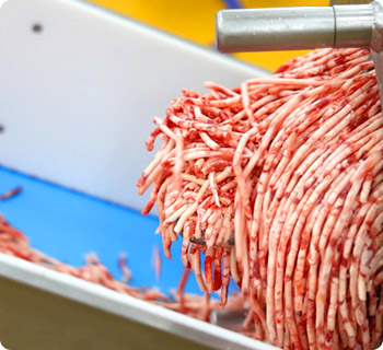 패티 생산 시설